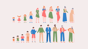 Gelişim Evreleri ve Çatışmalar